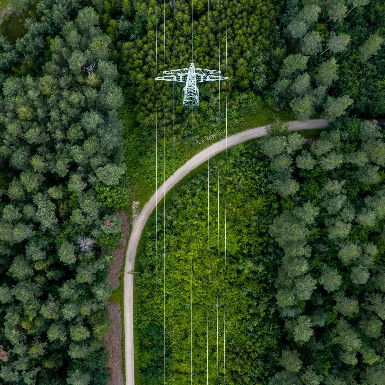 Luftaufnahme eines Waldbereichs mit einem Strommast und mehreren Hochspannungsleitungen, die sich gerade durch die Baumkronen ziehen. Ein geschwungener Weg verläuft unterhalb der Leitungen durch das Grün.