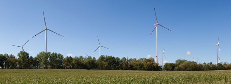 Panoramablick auf den Windpark Hochheim mit Maisfeld im Vordergrund Panoramablick auf den Windpark Hochheim mit Maisfeld im Vordergrund