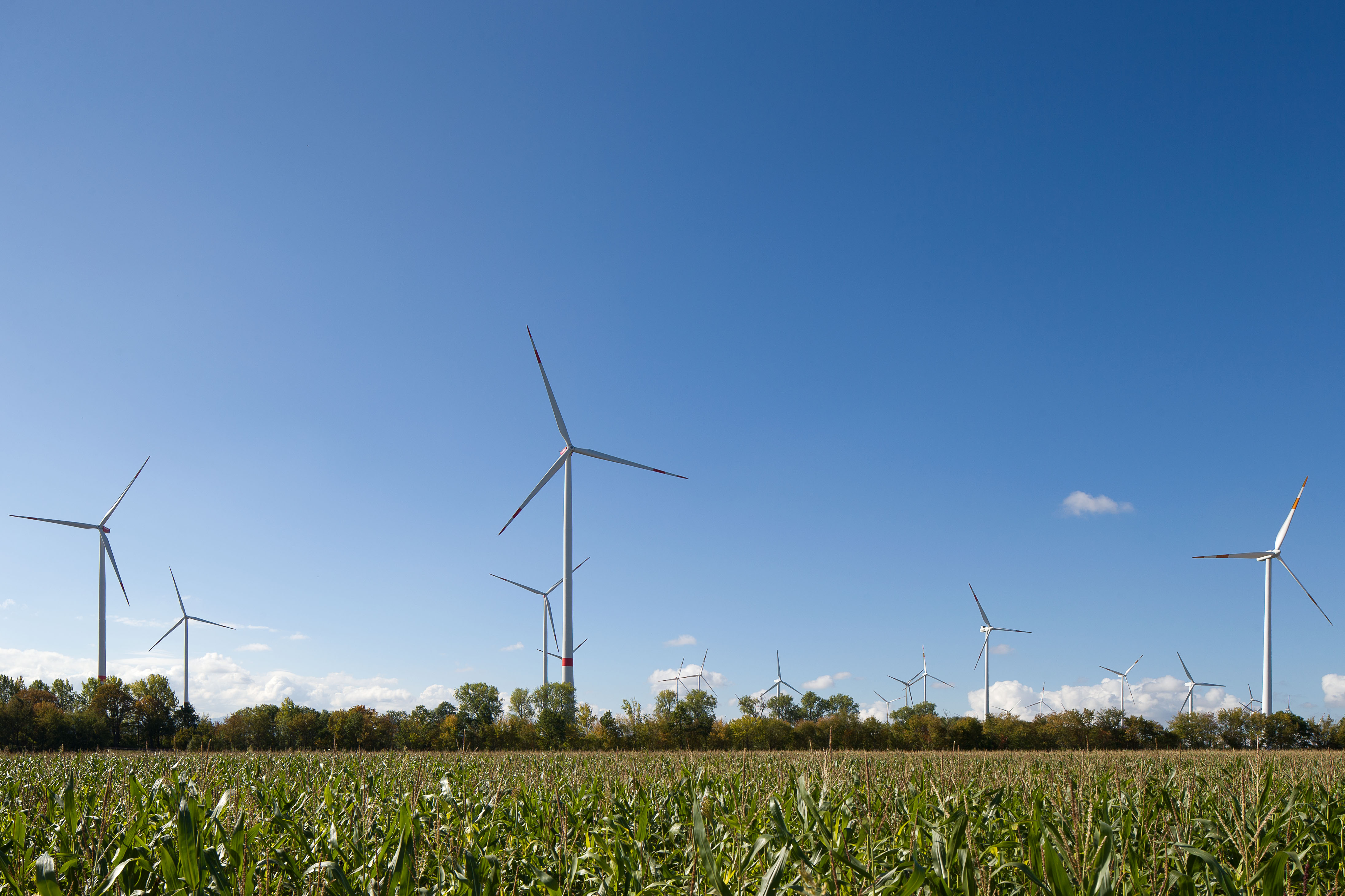 Panoramablick auf den Windpark Hochheim bei strahlend blauem Himmel