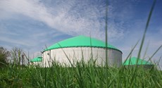 Blick aus der Froschperspektive durch Grashalme auf drei Fermenter der Biogasanlage Ostrau Blick aus der Froschperspektive durch Grashalme auf drei Fermenter der Biogasanlage Ostrau