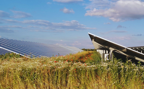 Blühwiese am Solarpark Neugattersleben Blühwiese am Solarpark Neugattersleben